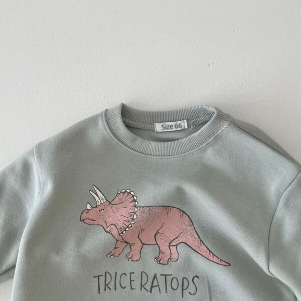Baby Dinosaur Sweatshirt Romper Toddler One Piece