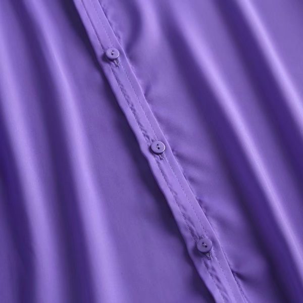 Women Light Purple Collared Basic Solid Color Satin Drape Autumn Long Sleeve Shirt