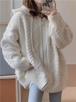 Korean Fashion Knit Cardigan Women Autumn Winter Casual Loose Zipper Hooded