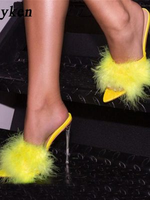 Vanessas Pointed Toe, Clear Perspex Heels, Summer Party Mules Heels