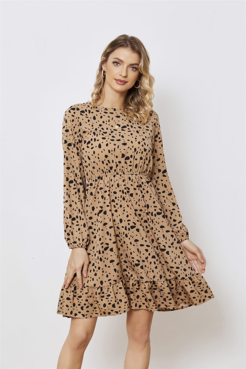 Printed Long Sleeve Crew Neck A-Line Dress