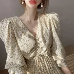 Vintage Korean Eco V-neck Dress