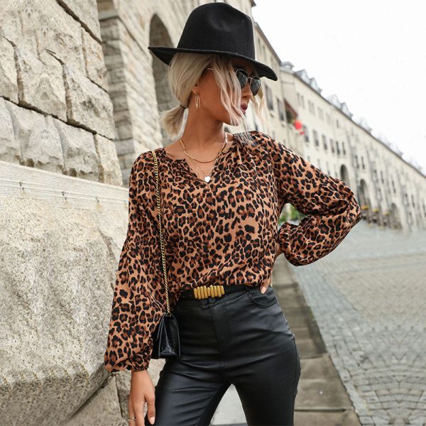 Leopard Print Chiffon Long-Sleeved Pullover: Women's Spring Shirt