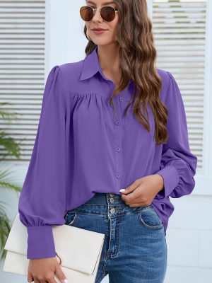 Spring/Autumn Chiffon Pleated Shirt: Women's Top