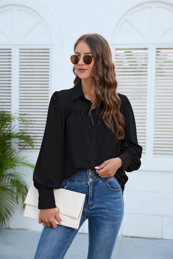 Spring/Autumn Chiffon Pleated Shirt: Women's Top