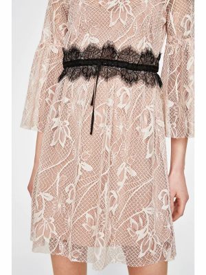 Women's  Color Lace Three Quarter Sleeve Dress