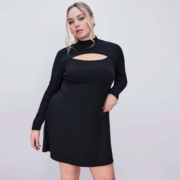 Women's Slim Long Sleeve A Line Dress