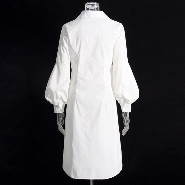 Women's Shirt Dress Spring Polo Collar Long Sleeve Waist Slimming Dress