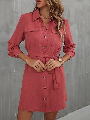 Women's Long Sleeved Red Collared French Shirt Dress